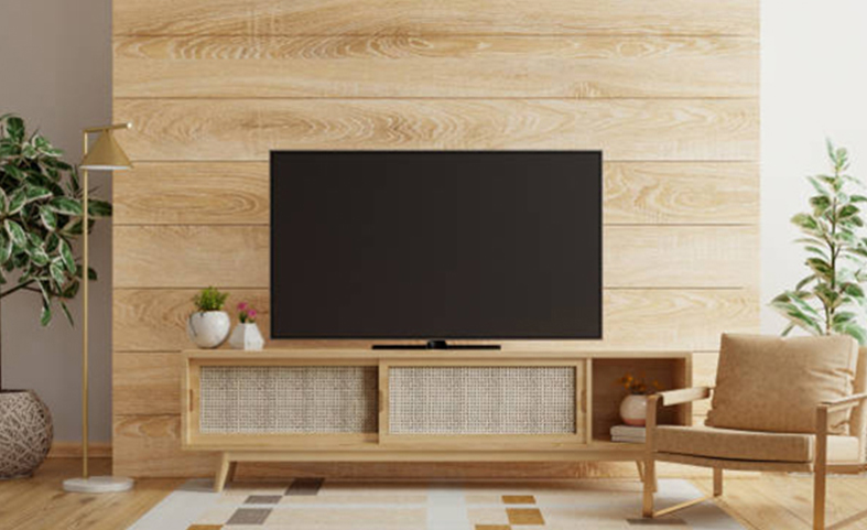 Plasma TV on Rent in Delhi